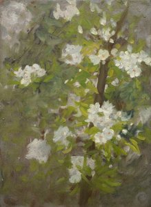 White Blossom by Henry Scott Tuke